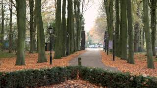 Op zoek naar het tillenbeest van Oud Poelgeest [upl. by Ahsinauq314]