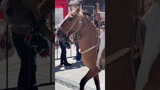 Gaucho en Bariloche [upl. by Lyrad]