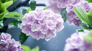 Relaxing nature sounds with gentle rain and flowers to Eliminates negative energy and comfortable 🌧️ [upl. by Warp]