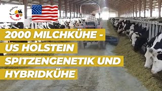 2000 Milchkühe  USHolstein Spitzengenetik und Hybridkühe  unser Video zur EuroTier aus den USA [upl. by Hizar245]