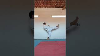 Treinando o Mae geri e o Yoko geri 🥋karate shotokan funakoshi [upl. by Nnaeerb]