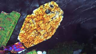 Amphibole automorphe au microscope polarisant LPA [upl. by Eicyak]