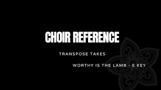 Audio Reference  Worthy Is The Lamb E key [upl. by Nosnirb]