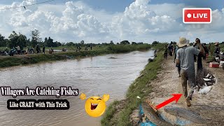 MINDBLOWING Real Life Fishing Adventures in Countryside bigfish fishingtips flood [upl. by Erdua383]