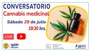 Cannabis medicinal en Bolivia [upl. by Yarg]