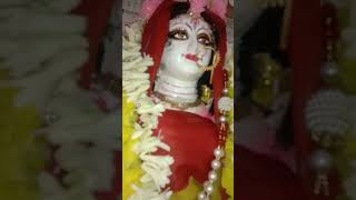 Joy maa🙏🏻shortes youtube মালক্ষ্মী [upl. by Atwood]