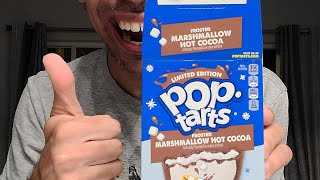 New Frosted Marshmallow Hot Cocoa PopTarts [upl. by Leugimsiul]