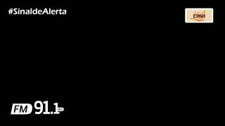 Programa Sinal de Alerta 13112024 [upl. by Bekha]