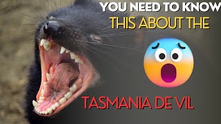 Facts about Tasmanian Devil [upl. by Nepsa261]