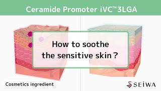 Vitamin C derivative  iVC 3LGAs skin barrier improvement effect [upl. by Wall546]