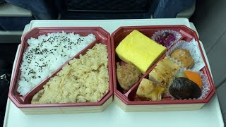 Shinkansen Ekiben Bento at Shin Osaka Station [upl. by Gabie172]