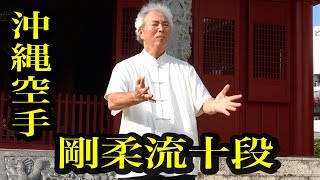 沖縄剛柔流、八木明達十段が東京でセミナー開催！Meitatsu Yagi sensei Okinawa Gojyuryu Meibukan [upl. by Inait]