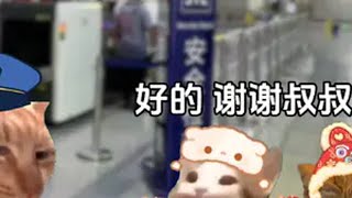 当南方小土豆带糖葫芦坐地铁猫meme 哈尔滨 万万想不到 猫meme小剧场 [upl. by Ydnik]