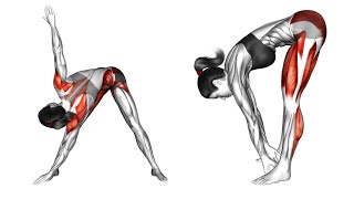 15 MIN FULL BODY MOBILITY WORKOUT  Follow Along 2024  The Mobility Manual [upl. by Rimahs]