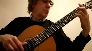 Southampton Birds Original composition by Marco William Duranti for guitar Short demo [upl. by Neleh619]