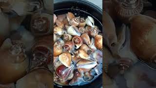 l seafood shortvideo [upl. by Hayott]