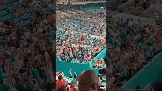 At the dolphins game [upl. by Akcemat226]