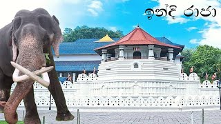 ඉන්දි රාජා [upl. by Eilahtan825]