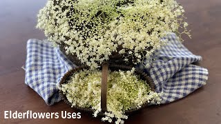 Elderflowers and How to Use Them [upl. by Nauaj]