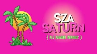 Dj Dame  Saturn  SZA Remix  PG ISLAND REGGAE [upl. by Natka]