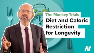 Diet and Caloric Restriction for Longevity—The Monkey Trials [upl. by Airamas701]