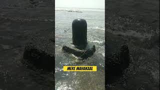 Har har Mahadev shambhu mahadev shivbaba bholenath youtubeshorts facts viralshort [upl. by Oilasor]