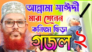 আল্লামা সাঈদী হুজুরের মৃত্যু নাকি হত্যা নাস্তিক হাসিনার কঠিন জবাব  delyar saidi [upl. by Dogs]