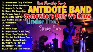 Best Nonstop Songs Antidote Band Cover 2024 Playlist  Oldies Beautiful Love Songs Full Album [upl. by Lordan]