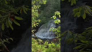 Gravley Falls  Headwaters State Forest NC [upl. by Weisler]