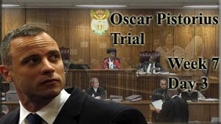 Oscar Pistorius Trial Thursday 8 May 2014 Session 2 [upl. by Novad103]