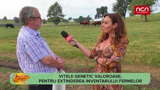 Agro Factor  Ferma de vaci Angus [upl. by Xantha]