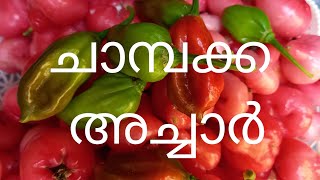 chambakka achar ll roseapple achar pickle 69 [upl. by Nitnerb213]