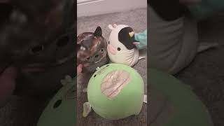 AVADA KEDAVRA duet with lutralutrapeacock funny squishmallows [upl. by Torras444]