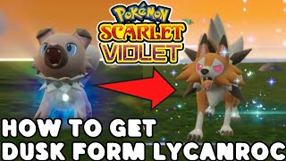 How to get Dusk Form Lycanroc in Pokemon Scarlet and Violet [upl. by Hnil]