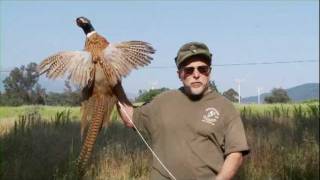 Official Ojai Valley Taxidermy TV Commercial [upl. by Immac]