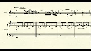 Violin Sonata no 5 Spring opus 24 adapted for flute and piano  L V Beethoven [upl. by Ahsilat]