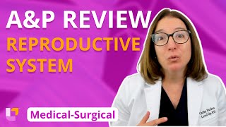 MS Reproductive System AampP Review [upl. by Kaya]