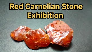 Carnelian Stone Exhibition [upl. by Bushweller]