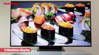 Sony Bravia XD93 i nuovi TV 4k HDR  Recensione ITA [upl. by Miksen546]