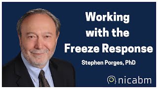 Working with the Freeze Response in the Treatment of Trauma with Stephen Porges PhD [upl. by Analem]