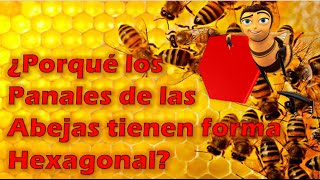 ¿POR QUE LAS ABEJAS HACEN PANALES [upl. by Lorraine]