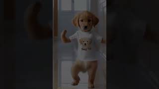 Dancing Dog Steals the Show 🕺🐶 dancechallenge trendingdance viraldance pettrend animalfun [upl. by Evered842]