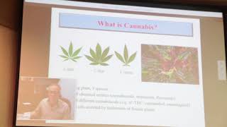 Medical Cannabis and Chronic Disease Windsor ON  Jan 31 2018 [upl. by Luamaj]