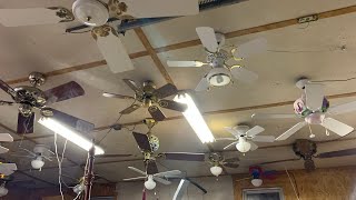 Ceiling Fan Display 6 [upl. by Ardena]