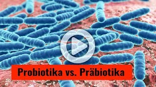 Probiotika versus Präbiotika [upl. by Constantin]