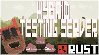 Rust  Hybrid Testing Server Tutorial  PublicPrivate [upl. by Clippard81]