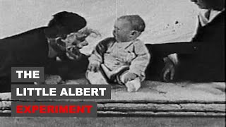 The Little Albert Experiment [upl. by Kessel]