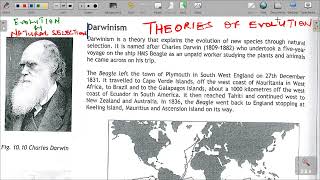 GRADE 12 LIFE SCIENCES THEORIES OF EVOLUTION [upl. by Lydie]