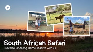 Safari in South African  Dinokeng Game Reserve  Game Drives [upl. by Ycnej976]