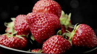 The Ultimate Guide to Growing and Harvesting Strawberries at Home [upl. by Cicenia]